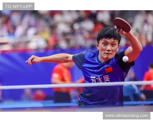 乒乓球运动的文化魅力与全民健身推动作用的深入探讨