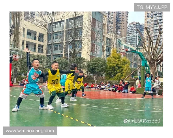 篮球梦想与现实的碰撞：从街头球场到职业赛场的心路历程与成长故事