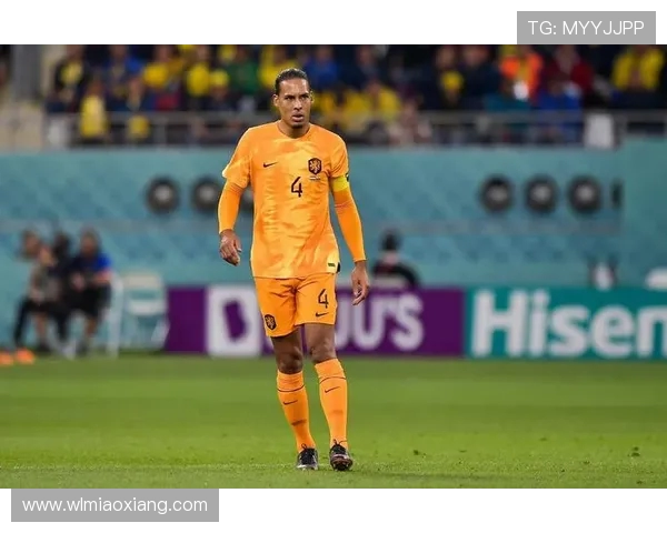 维吉尔·范迪克：从荷兰天才到英超霸主的崛起之路