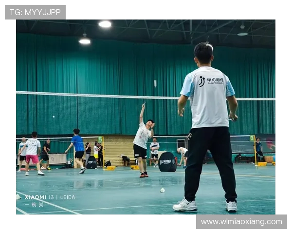 成都羽毛球队在挑战赛中的心理素质分析与表现评估