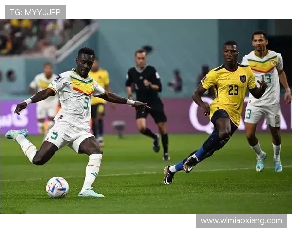 2019年美国与厄瓜多尔足球对抗赛精彩回顾与分析